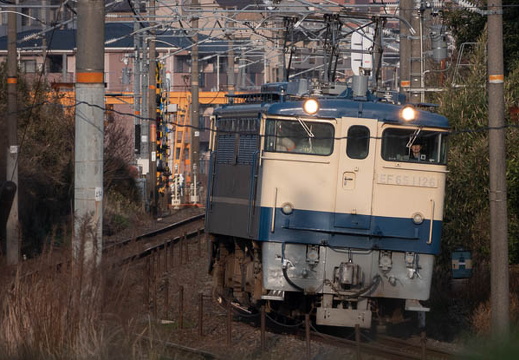 202502161700-DSC07661.jpg