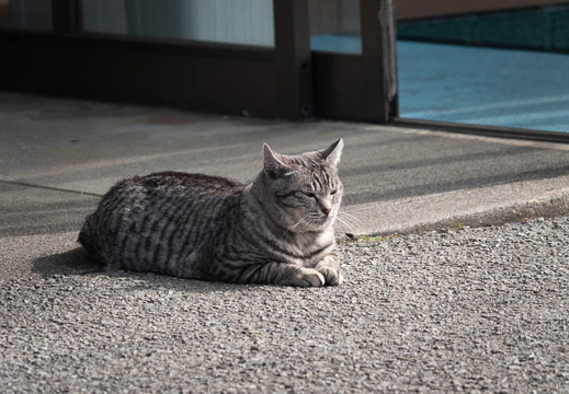 202503011008-DSC08783.jpg
