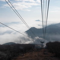 202503011028-DSC08833.jpg