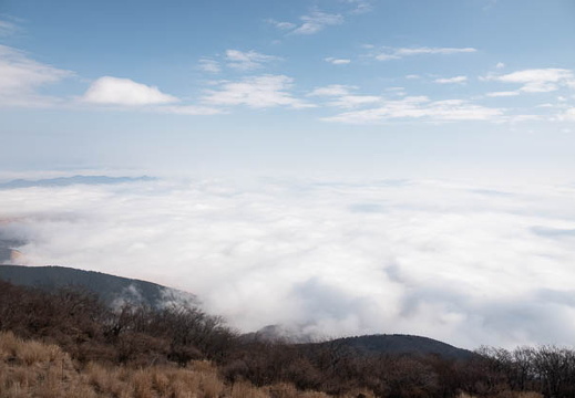 202503011039-DSC08863.jpg