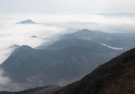 202503011049-DSC08896.jpg