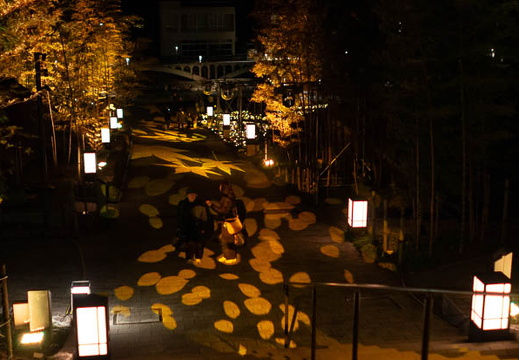 202503052001-DSC09336.jpg