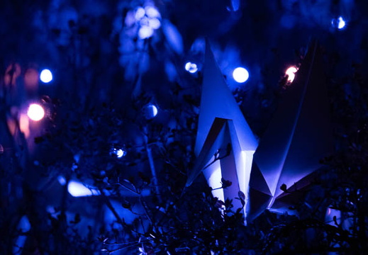 202503052029-DSC09539.jpg