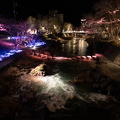 202503052031-DSC09543.jpg