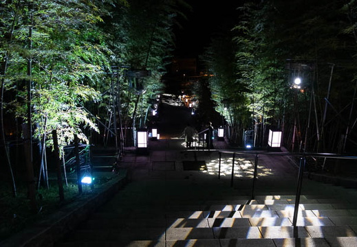 202503052108-DSC09611.jpg