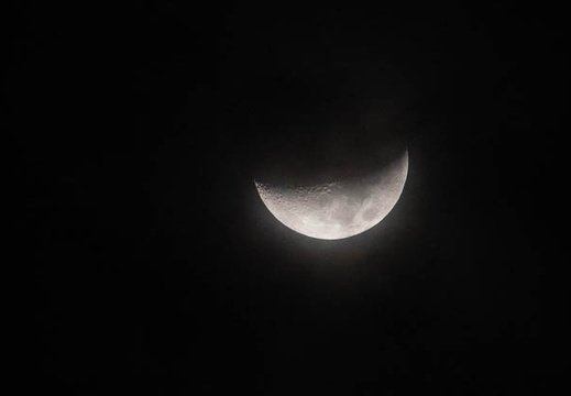 202503052109-DSC09616.jpg