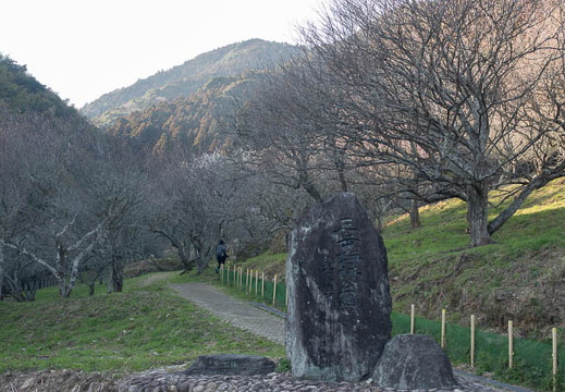 202503091619-DSC09973.jpg