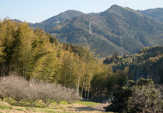 202503091622-DSC09980.jpg