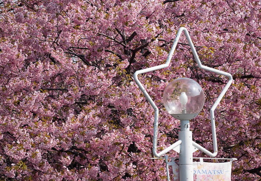 202503200951-DSC01127.jpg