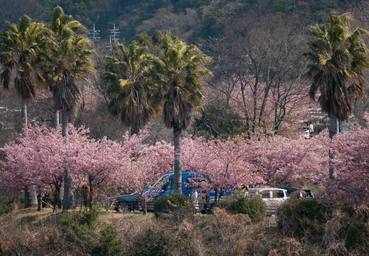 202503201040-DSC01254.jpg