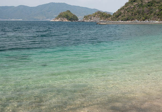 202503201156-DSC01381.jpg
