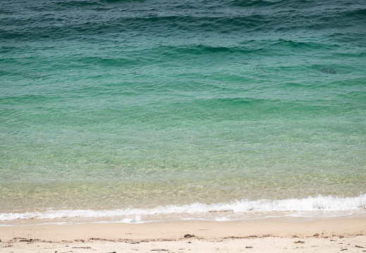 202503201231-DSC01428.jpg