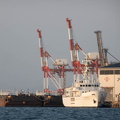 202503211745-DSC03205.jpg