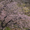 202503220908-DSC01707.jpg