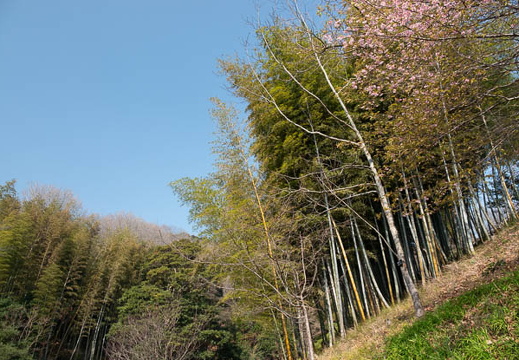 202503220922-DSC01769.jpg