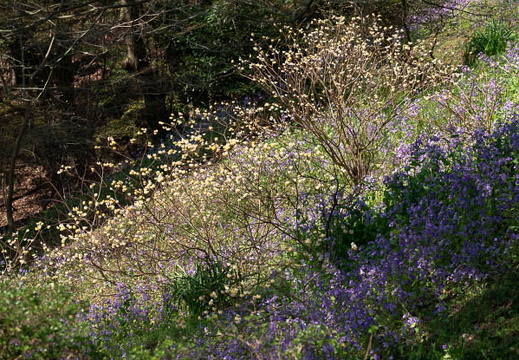 202503220944-DSC01816.jpg