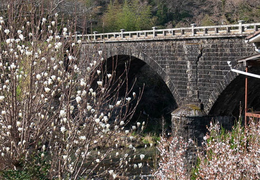202503230915-DSC02143.jpg