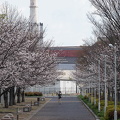 202503290827-DSC02458.jpg