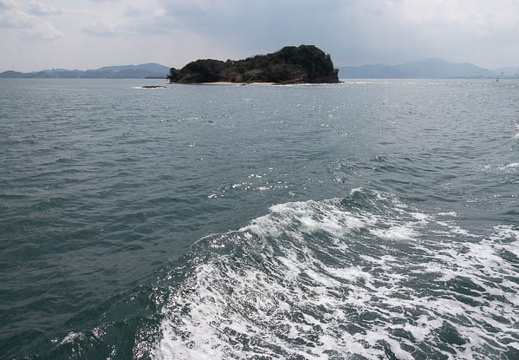 202503291053-DSC02556.jpg
