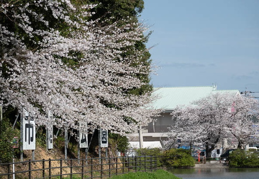 202503300937-DSC03010.jpg