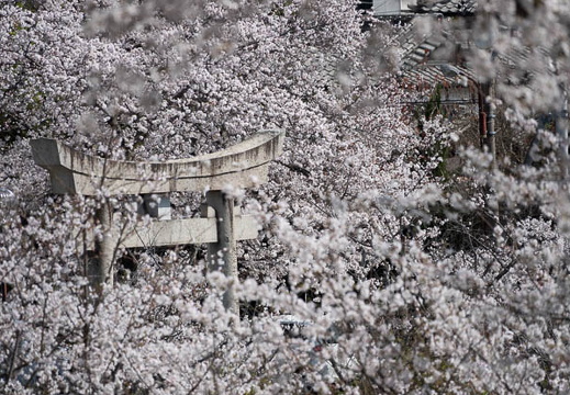 03.30 垣生公園 - このアルバムのルートのイメージを表示する 03.30 垣生公園