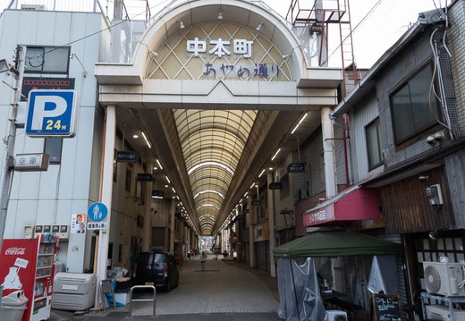 202503311749-DSC03519.jpg