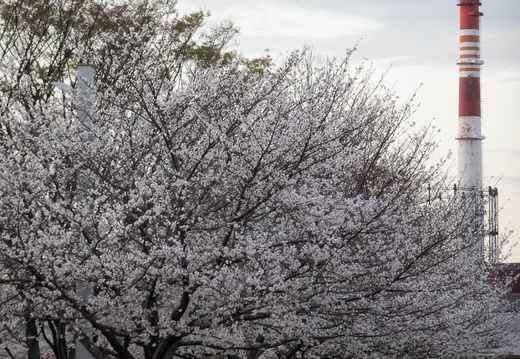 04.01 あさの汐風公園