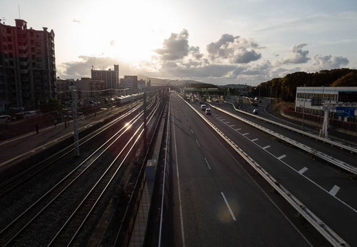 202504031750-DSC03715.jpg