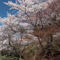202504061008-DSC04545.jpg