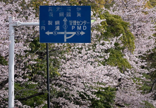 202504080811-DSC05142.jpg