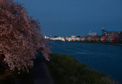 202504081906-DSC05183.jpg