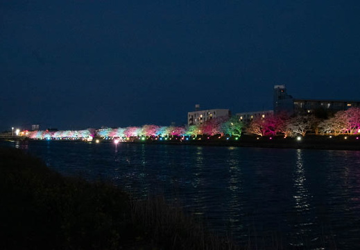 202504081914-DSC05205.jpg