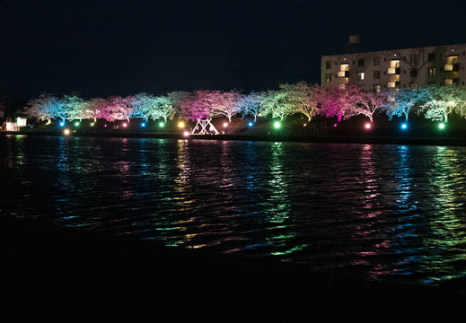 202504081918-DSC05213.jpg