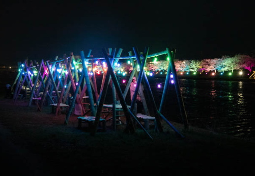 202504081919-DSC05217.jpg