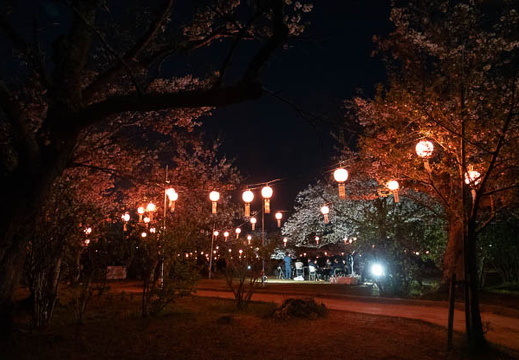202504091919-DSC05373.jpg