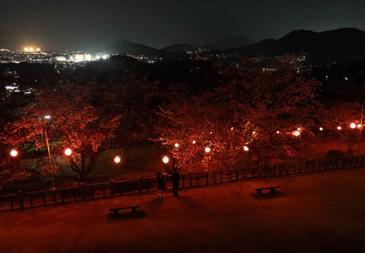202504091928-DSC05387.jpg