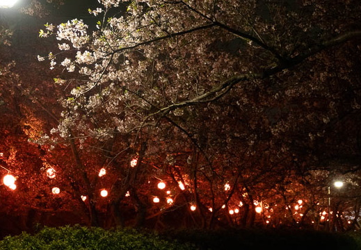 202504091937-DSC05411.jpg