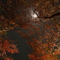 202504091938-DSC05412.jpg