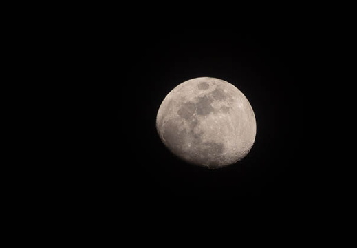 202504091945-DSC05431.jpg