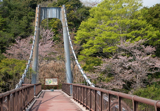 202504111059-DSC05680.jpg