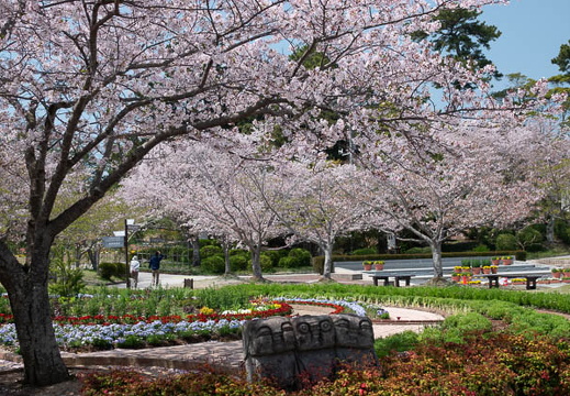 202504111213-DSC05759.jpg