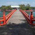 202504111240-DSC05865.jpg