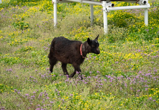 202504121024-DSC06416.jpg