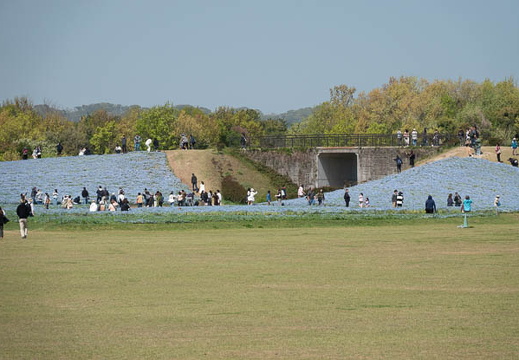 202504131020-DSC06774.jpg