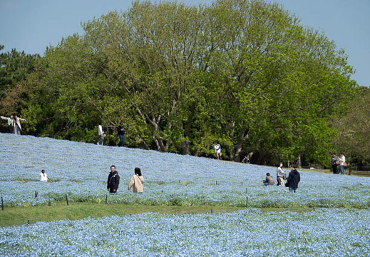 04.13 海の中道海浜公園