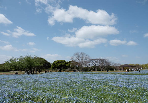 202504131059-DSC06889.jpg