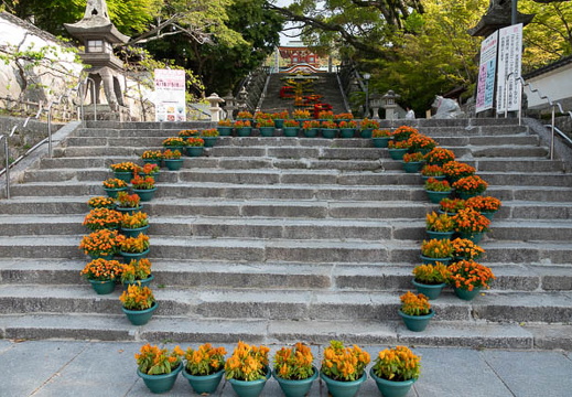 202504190825-DSC07116.jpg