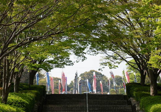 202504190926-DSC07196.jpg