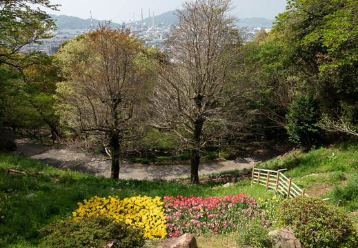 202504191011-DSC07322.jpg