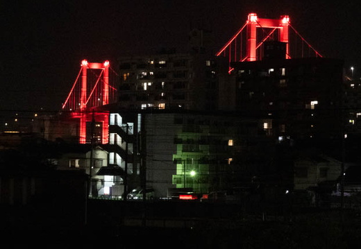 202504252105-DSC04035.jpg